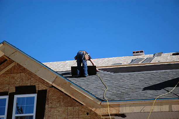 Best Roof Gutter Cleaning  in South Alamo, TX