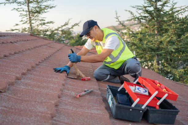 Roof Gutter Cleaning in South Alamo, TX
