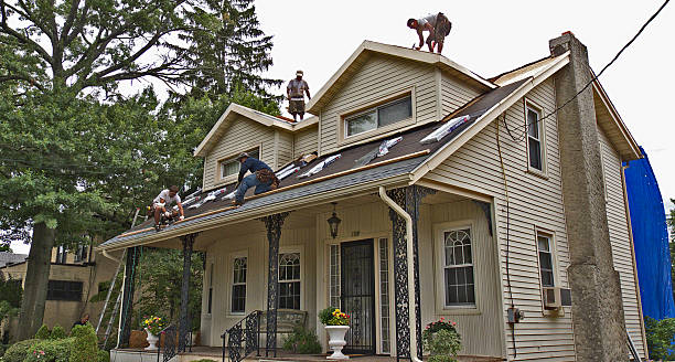 Best Storm Damage Roof Repair  in South Alamo, TX