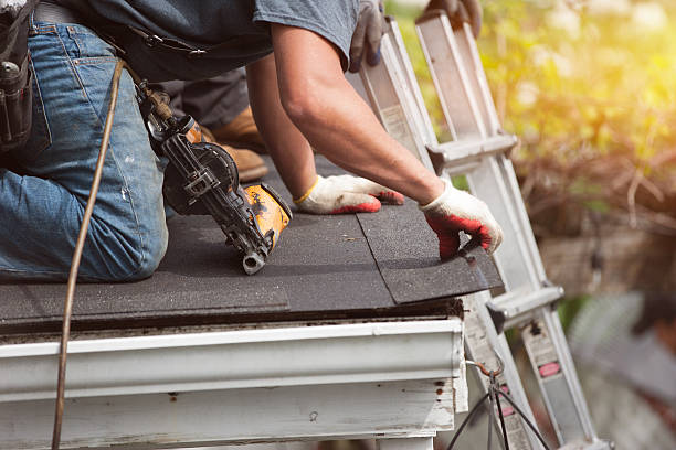 Best Metal Roofing Contractor  in South Alamo, TX