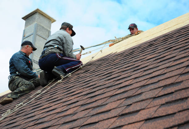 South Alamo, TX Roofing Contractor Company