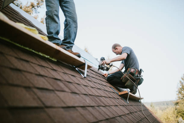 Best Storm Damage Roof Repair  in South Alamo, TX